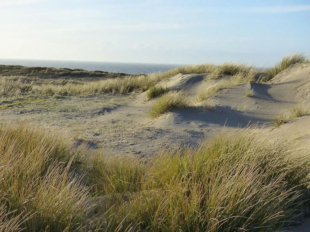 Apartment Appartement Beach House Le Grand Bleu Zandvoort